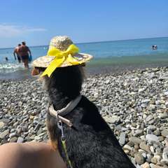 Фото отзыва 10043205