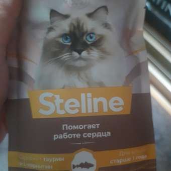 Корм для кошек Steline 85г для стерилизованных лосось-сливки в соусе: отзыв пользователя. Зоомагазин Зоозавр