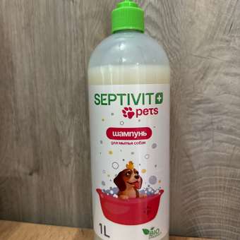 Шампунь для собак SEPTIVIT 1 л: отзыв пользователя. Зоомагазин Зоозавр