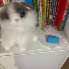 Фото отзыва 11176336