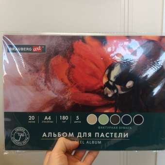 Альбом Brauberg для пастели А4 20 лист. 1 шт.: отзыв пользователя Детский Мир