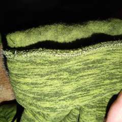 Фото отзыва 10485421