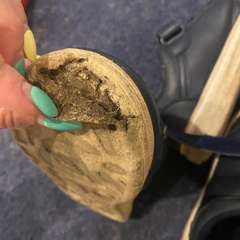 Фото отзыва 5308479