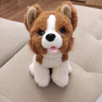 Мягкая игрушка Мульти Пульти собачка Корги: отзыв пользователя Детский Мир