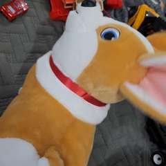 Видео отзыва 10602755