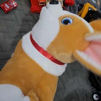 Мягкая игрушка SHARKTOYS собачка Синабон: отзыв пользователя Детский Мир