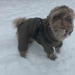 Фото отзыва 10832033