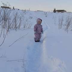 Фото отзыва 10866602