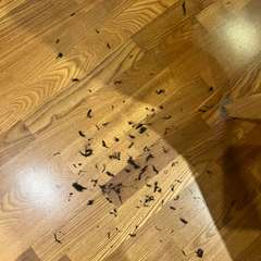 Фото отзыва 10588208