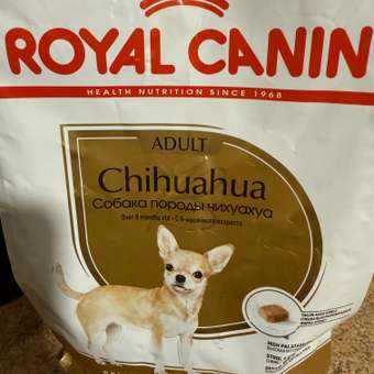 Корм для собак ROYAL CANIN породы чихуахуа 1.5кг: отзыв пользователя. Зоомагазин Зоозавр