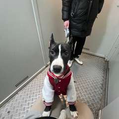 Фото отзыва 11082423