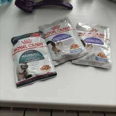 Фото отзыва 10969728