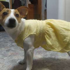 Фото отзыва 11154157