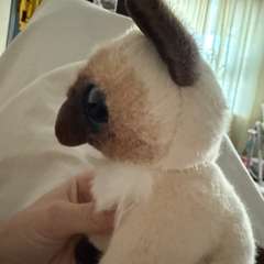 Фото отзыва 11169168