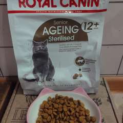 Фото отзыва 10753090