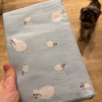 Пелёнка фланелевая FUTURINO Home 90х120: отзыв пользователя Детский Мир