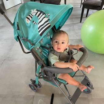 Коляска прогулочная Babyton Zoo Blue: отзыв пользователя ДетМир