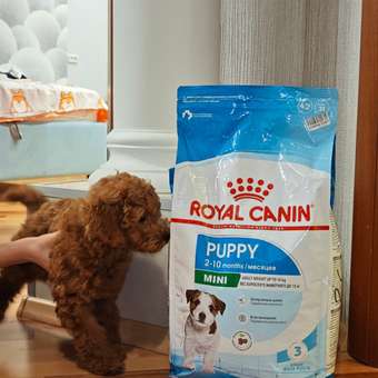 Корм для щенков ROYAL CANIN Puppy мелких пород 4кг: отзыв пользователя. Зоомагазин Зоозавр