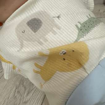 Боди BabyGo: отзыв пользователя Детский Мир