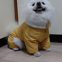 Фото отзыва 10740748