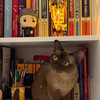 Лакомство для кошек Деревенские лакомства мини-колбаски с пюре из тунца 4шт*10г: отзыв пользователя. Зоомагазин Зоозавр