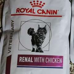 Фото отзыва 10564463