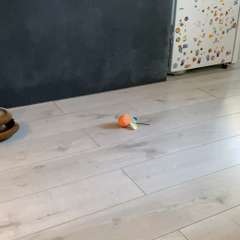 Видео отзыва 10602772