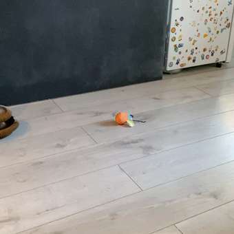 Игрушка для кошек Barbaks Шмель поющий поет при движении 9*8.5см Желто-оранжевый: отзыв пользователя. Зоомагазин Зоозавр