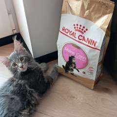 Фото отзыва 10975156