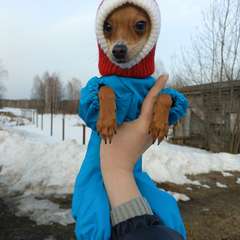 Фото отзыва 6623706