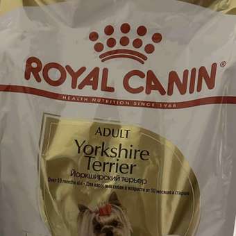 Корм для собак ROYAL CANIN породы йоркширский терьер 1.5кг: отзыв пользователя. Зоомагазин Зоозавр