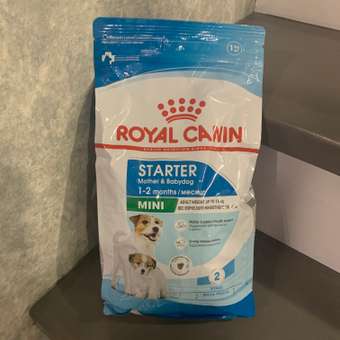 Корм для щенков ROYAL CANIN Starter мелких пород 1кг: отзыв пользователя. Зоомагазин Зоозавр