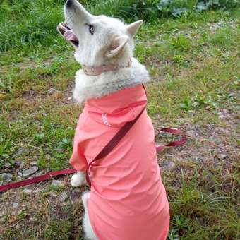 Куртка-дождевик для собак Zoozavr розовый 65: отзыв пользователя. Зоомагазин Зоозавр