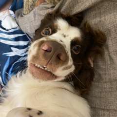 Фото отзыва 10940857