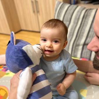 Мягкая игрушка Мульти Пульти Кот Матроскин: отзыв пользователя Детский Мир