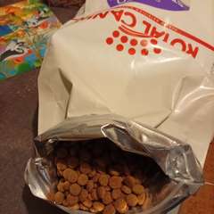 Фото отзыва 10703157