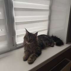 Фото отзыва 10724917