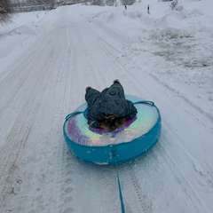 Фото отзыва 10903167