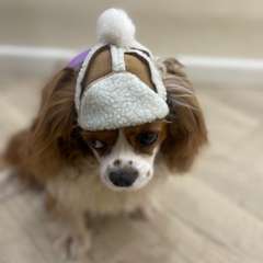 Фото отзыва 10509177