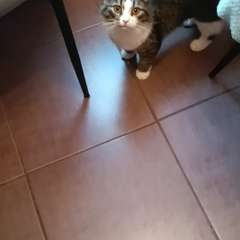 Видео отзыва 10726992