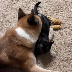 Фото отзыва 11189336