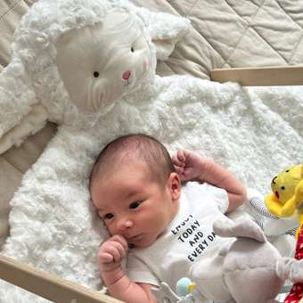 Коврик комнатный BabyGo Овечка: отзыв пользователя Детский Мир