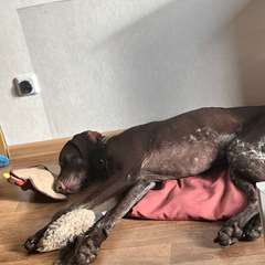 Фото отзыва 9724582