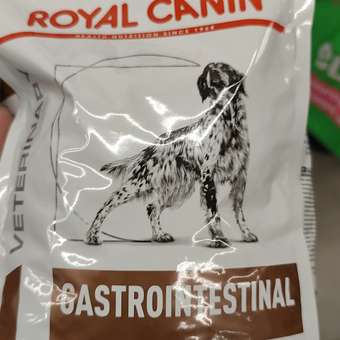 Корм для собак ROYAL CANIN Gastro Intestinal GI25 при нарушениях пищеварения 2кг: отзыв пользователя. Зоомагазин Зоозавр