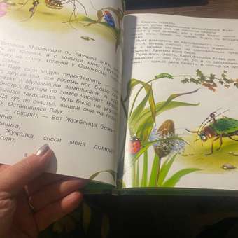 Книга Омега-Пресс Как Муравьишка домой спешил и другие сказки. Бианки В.В.: отзыв пользователя Детский Мир