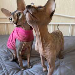 Фото отзыва 10757090