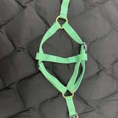 Фото отзыва 11057534