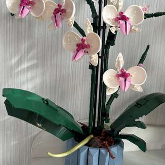 Конструктор LEGO Botanicals Orchid 608 дет.: отзыв пользователя Детский Мир