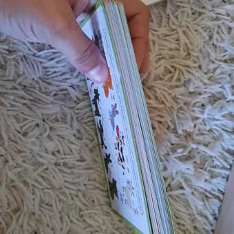 Карточки Attivio Пиши стирай Дорисуй рисунок или повтори 36 карточек: отзыв пользователя Детский Мир