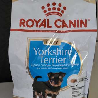 Корм для щенков ROYAL CANIN Yorkshire Terrier Puppy 500г: отзыв пользователя. Зоомагазин Зоозавр